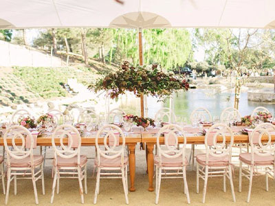 Classic Chairs On Sale (8)
