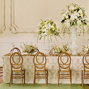Phoenix Chairs On Sale (3)